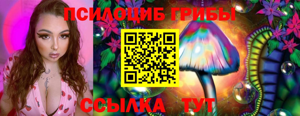 Шадринск  Галлюциногенные грибы прущие грибы  Вход с VPN 